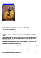 DIVINDADE KAVUNGU.pdf
